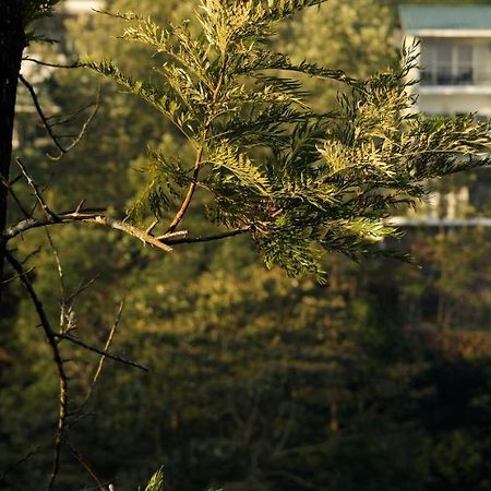 Falcon Crest Vagamon Exterior foto